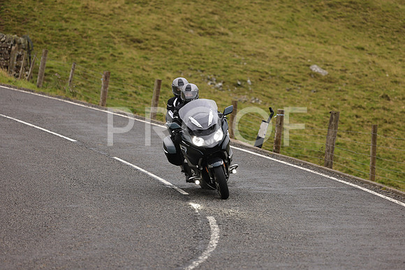Steve - 3N3A9999 (1144)