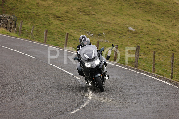 Steve - 3N3A9999 (1151)