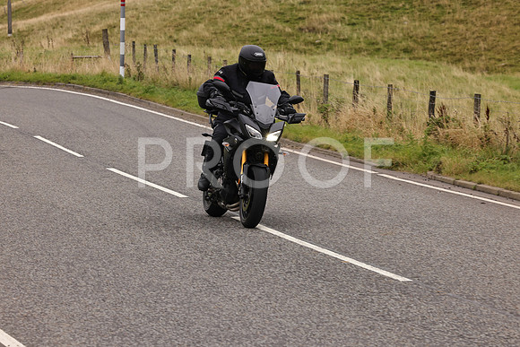 Steve - 3N3A9999 (3134)