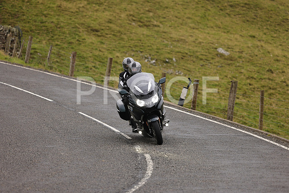 Steve - 3N3A9999 (1145)