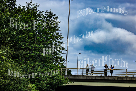 Bridges Cecilia (4)