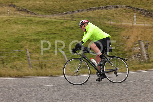 Steve - 3N3A9999 (2187)