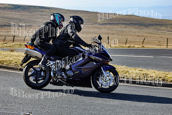 250A2460 (2)