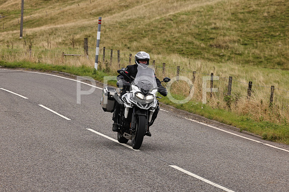 Steve - 3N3A9999 (3056)