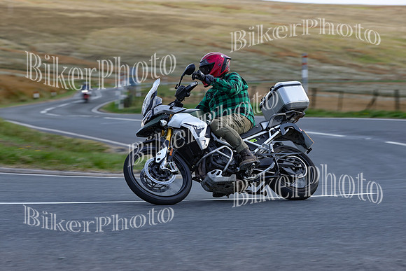 0W9A5344 (3)