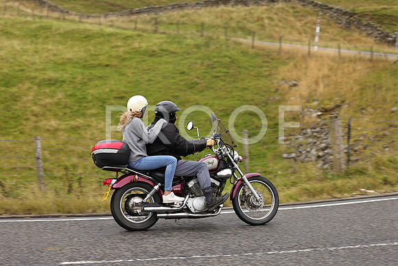 Steve - 3N3A9999 (1222)