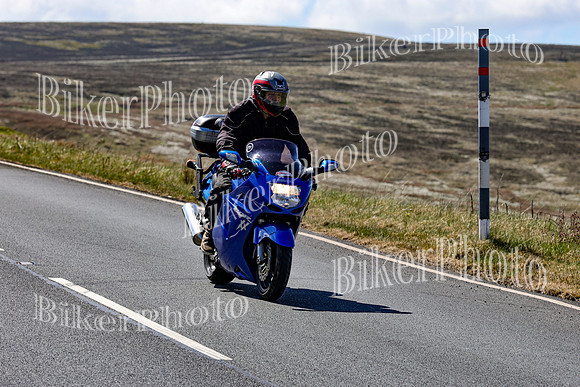 0W9A0352 (2)