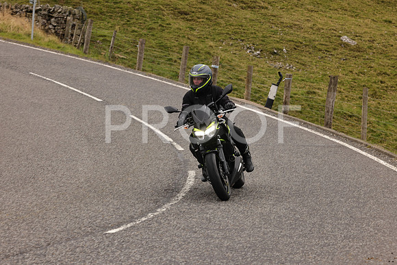 Steve - 3N3A9999 (2907)