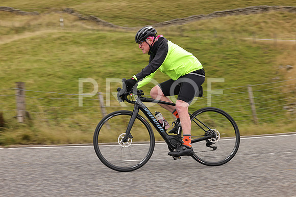 Steve - 3N3A9999 (2208)