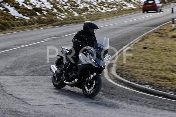_N3A3550
