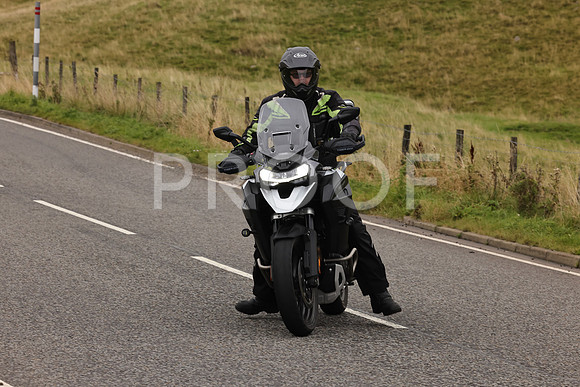 Steve - 3N3A9999 (2082)