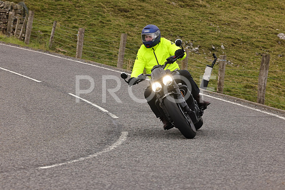 Steve - 3N3A9999 (4961)