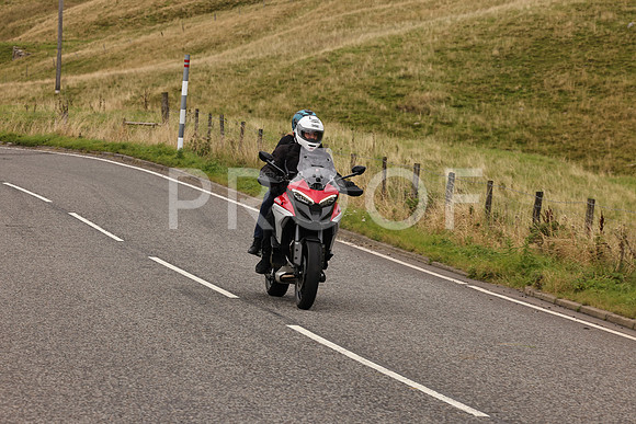 Steve - 3N3A9999 (5023)