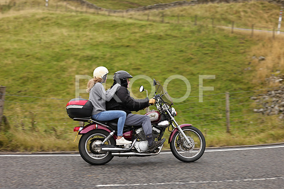 Steve - 3N3A9999 (1220)