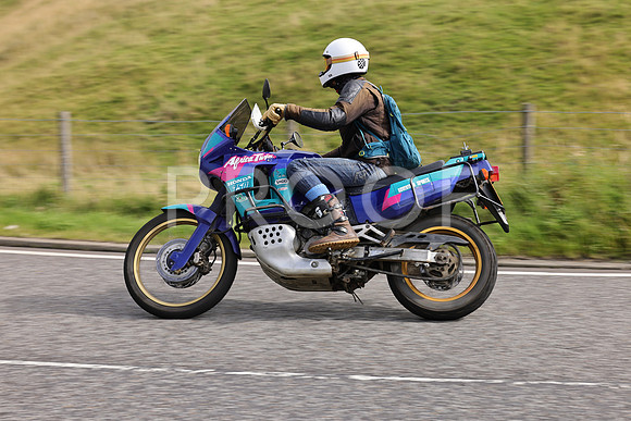 3N3A1985