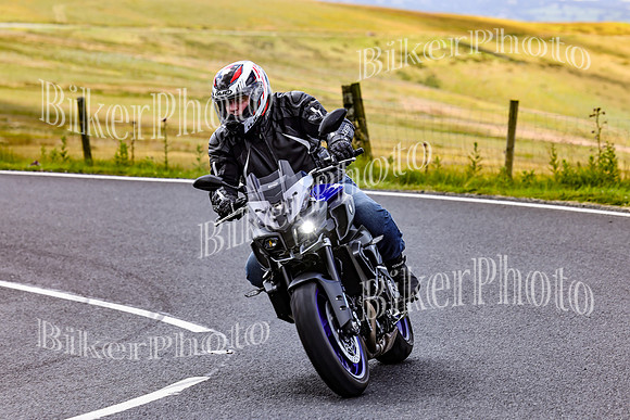 3N3A6069