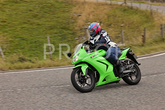 Steve - 3N3A9999 (2895)