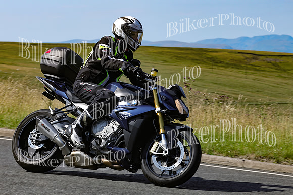 0W9A8895
