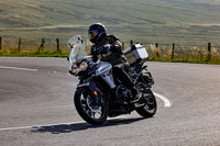 3N3A6834