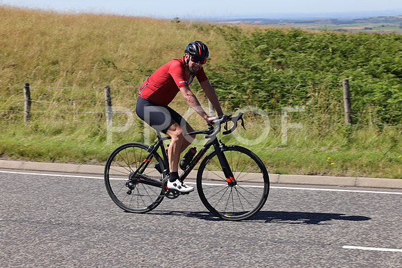 3N3A0079