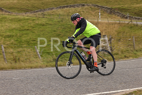 Steve - 3N3A9999 (2205)