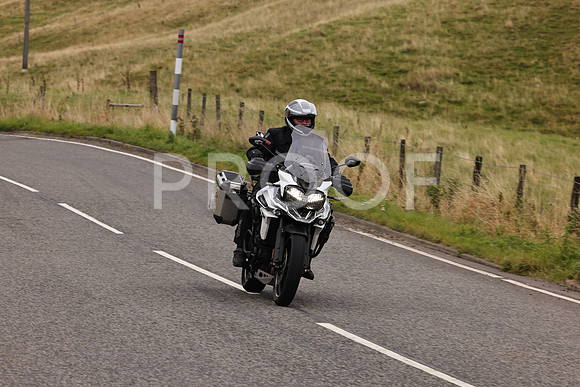 Steve - 3N3A9999 (3058)