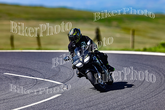 Daves (52)