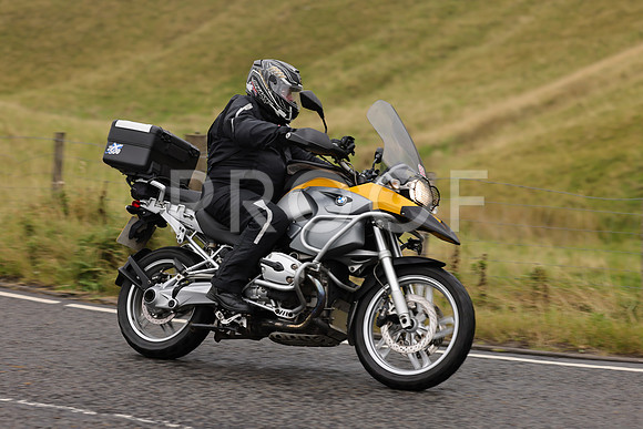 Steve - 3N3A9999 (1244)