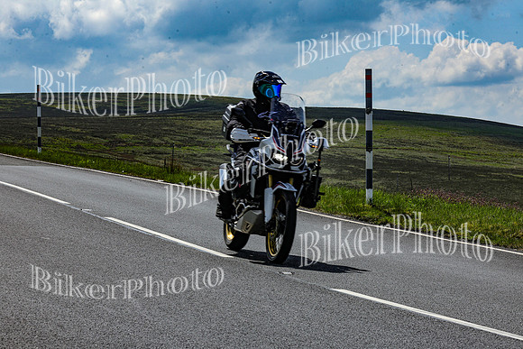 IMG_7265