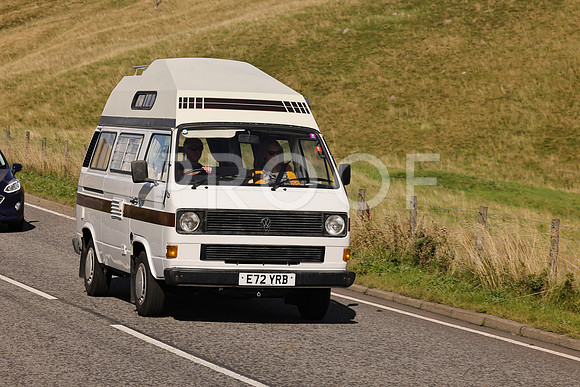 Steve - 3N3A6320 (1704)