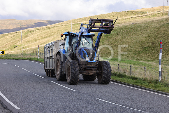 Steve - 3N3A6320 (242)