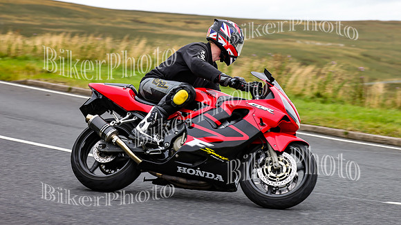 3N3A2834