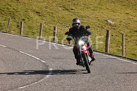 Steve - 3N3A6320 (2008)