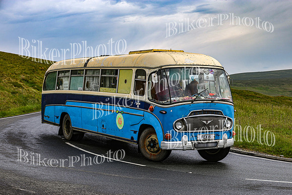 0W9A3596 (2)
