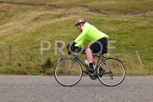 Steve - 3N3A9999 (2191)