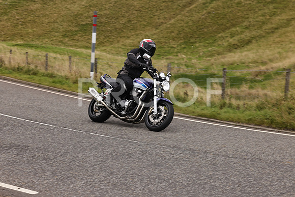 Steve - 3N3A9999 (4859)