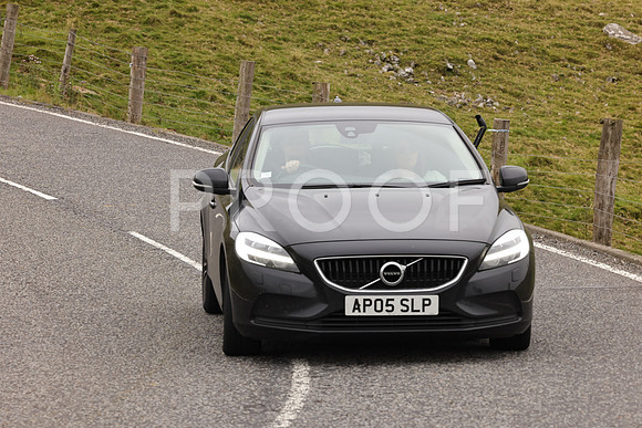 Steve - 3N3A9999 (2301)