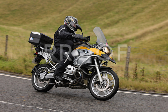 Steve - 3N3A9999 (1243)