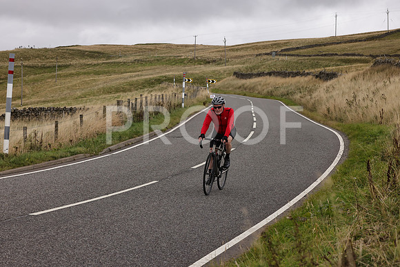 Dave - 3N3A061400 (503)
