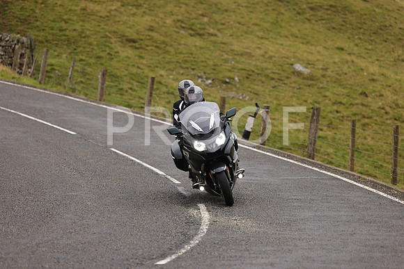 Steve - 3N3A9999 (1149)