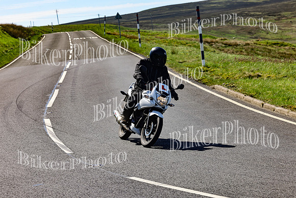 Daves (55)