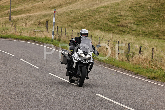 Steve - 3N3A9999 (3057)