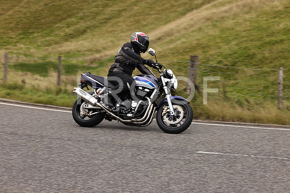 Steve - 3N3A9999 (4862)