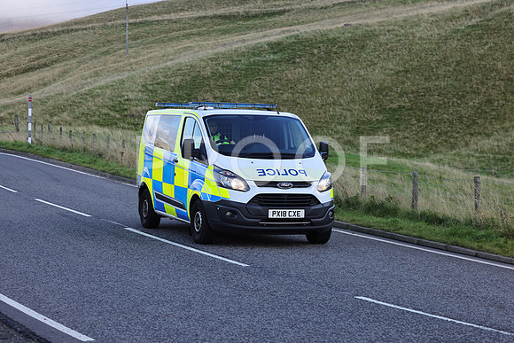 Steve - 3N3A6320 (29)