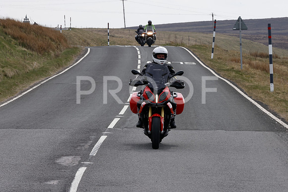 _N3A8462