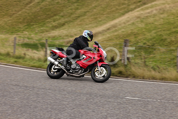 Steve - 3N3A9999 (4888)
