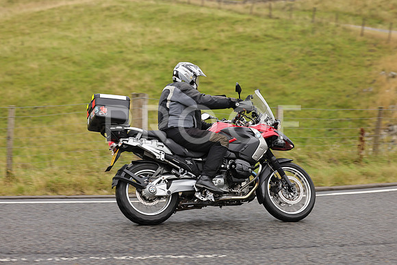 Steve - 3N3A9999 (1237)