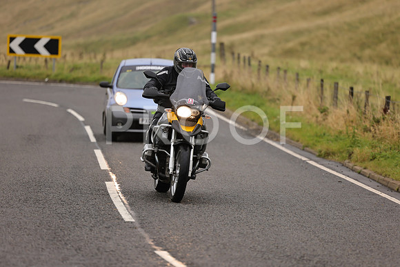 Steve - 3N3A9999 (1239)