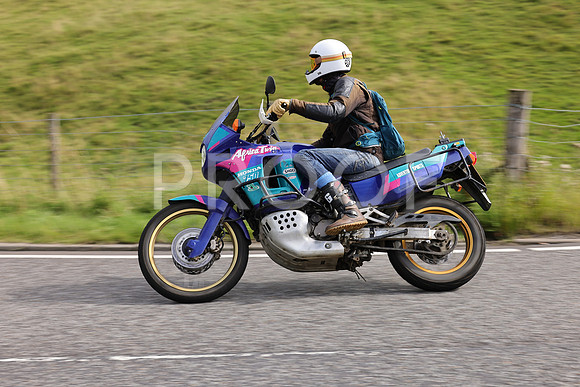 3N3A1984