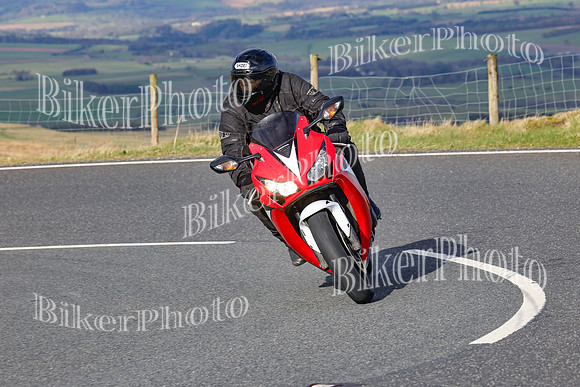 250A2548